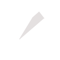 滨州临时保镖服务